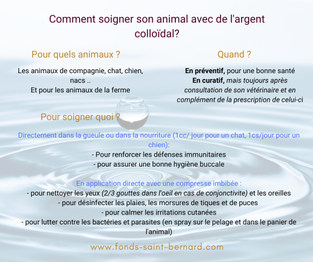 argent colloïdal pour soigner animaux