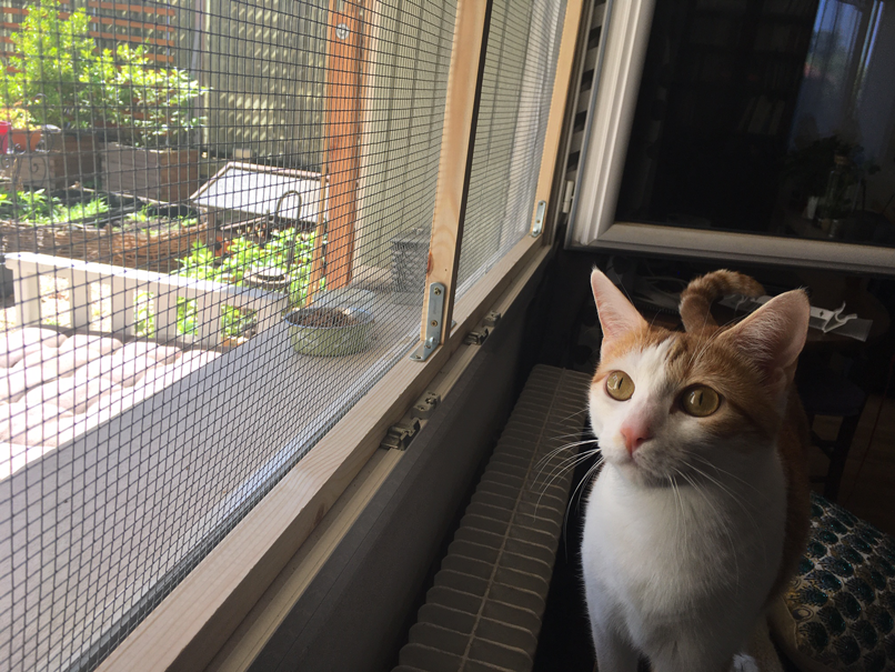 Cadre pour fenêtre avec filet de sécurité pour chat, coulissant